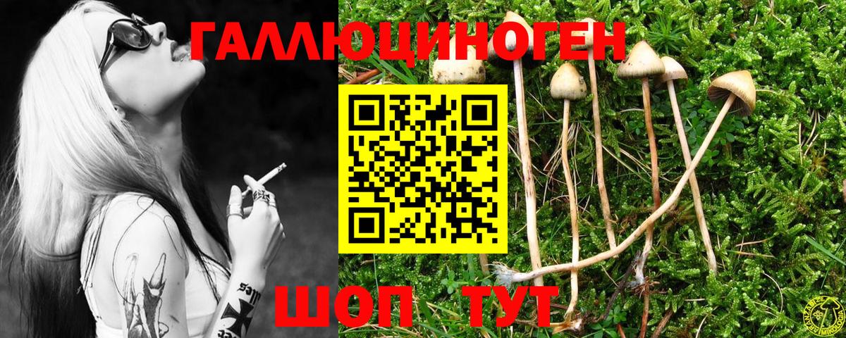 Псилоцибиновые грибы Psilocybine cubensis  Вход с VPN  Галлюциногенные грибы Magic Shrooms  Таганрог 