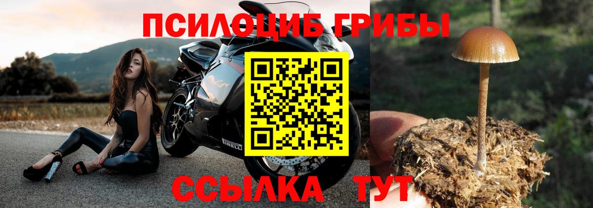 Галлюциногенные грибы мухоморы Таганрог